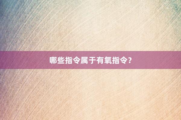 哪些指令属于有氧指令？