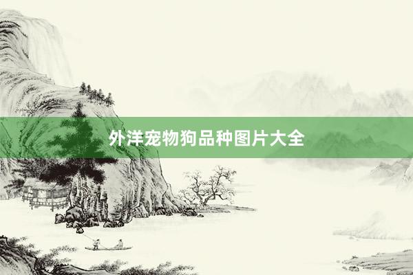 外洋宠物狗品种图片大全