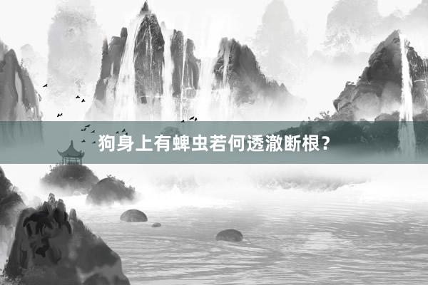 狗身上有蜱虫若何透澈断根？
