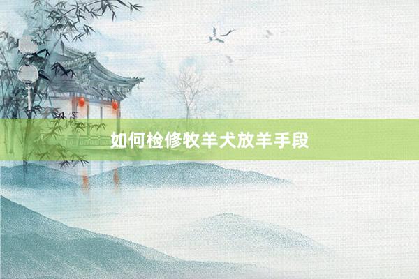 如何检修牧羊犬放羊手段